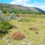 Sad Hill avant 2014